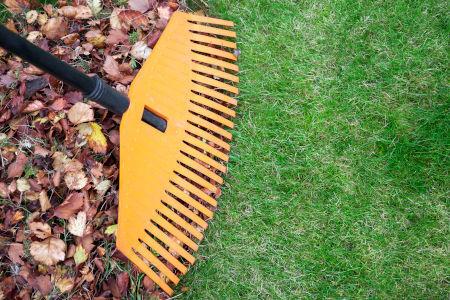Your lawn to do list for the fall season