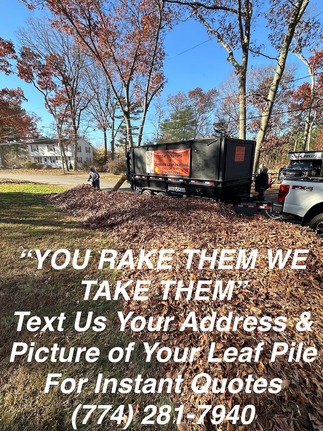 Expert Curbside Leaf Removal around Bridgewater, Ma Image