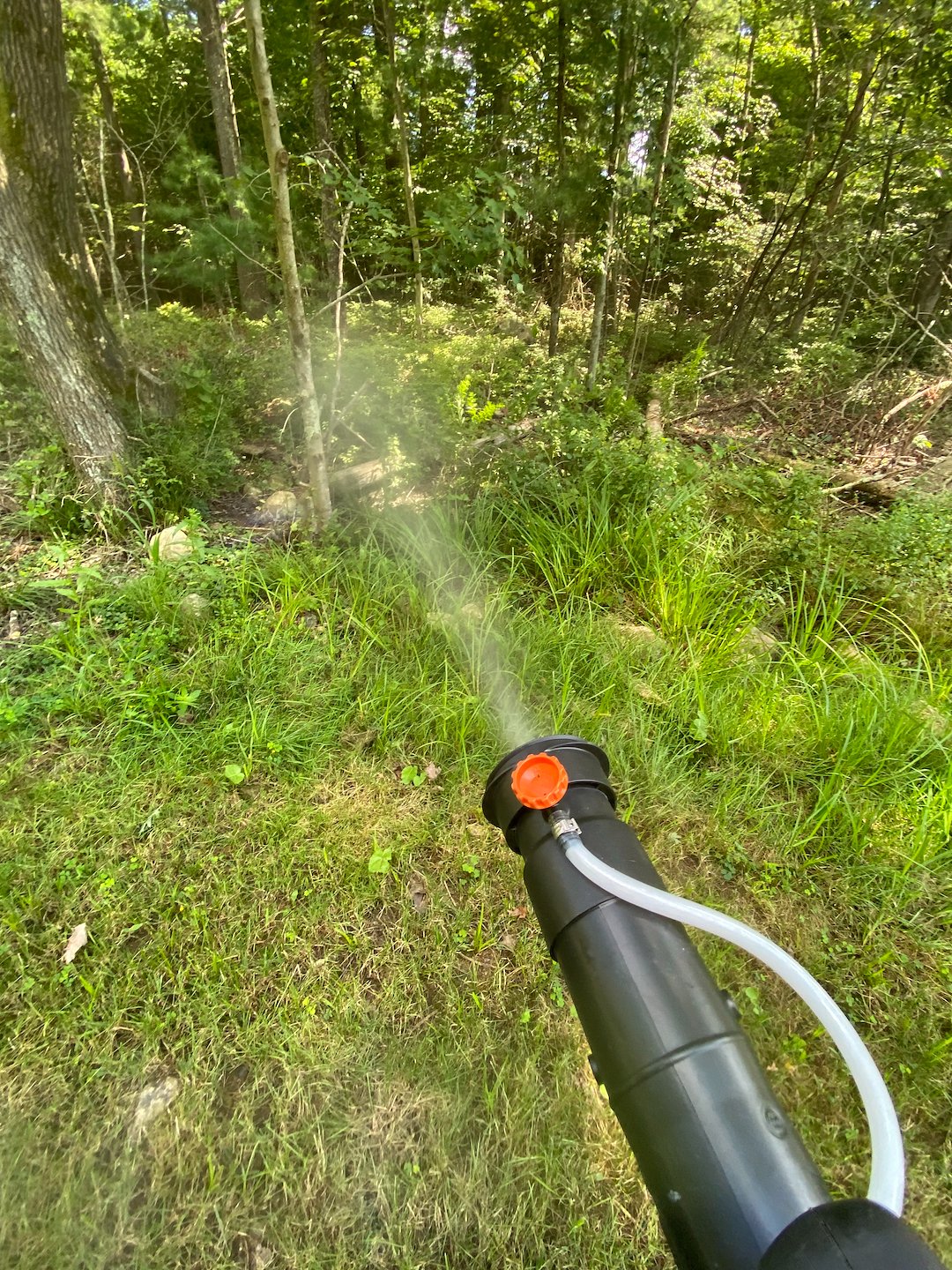 Expert Mosquito Control Services in Bridgewater, Massachusetts by Razor Sharp Lawn Care Thumbnail