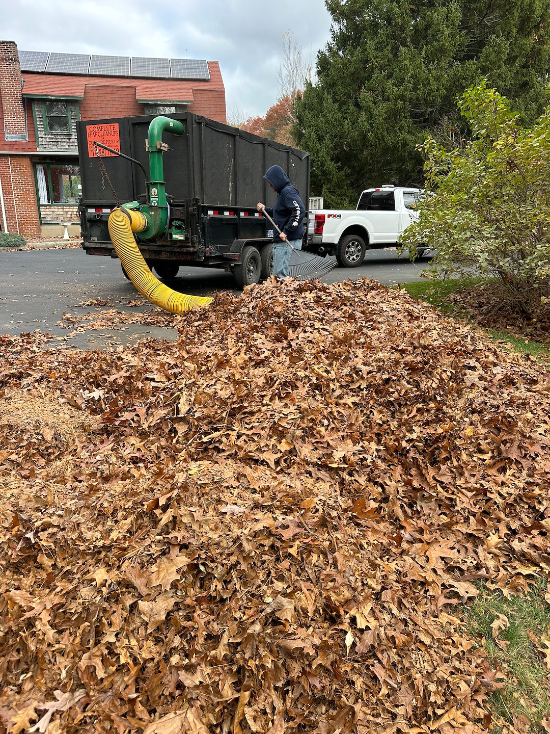 Fast & Efficient Curbside Leaf Removal Image