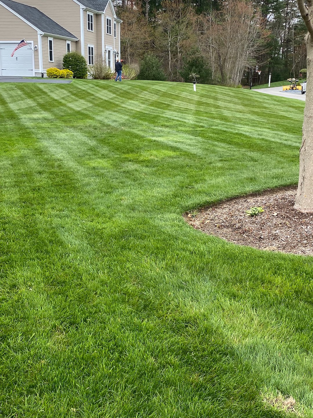 Premier Lawn Fertilization Services in East Bridgewater, Massachusetts Image